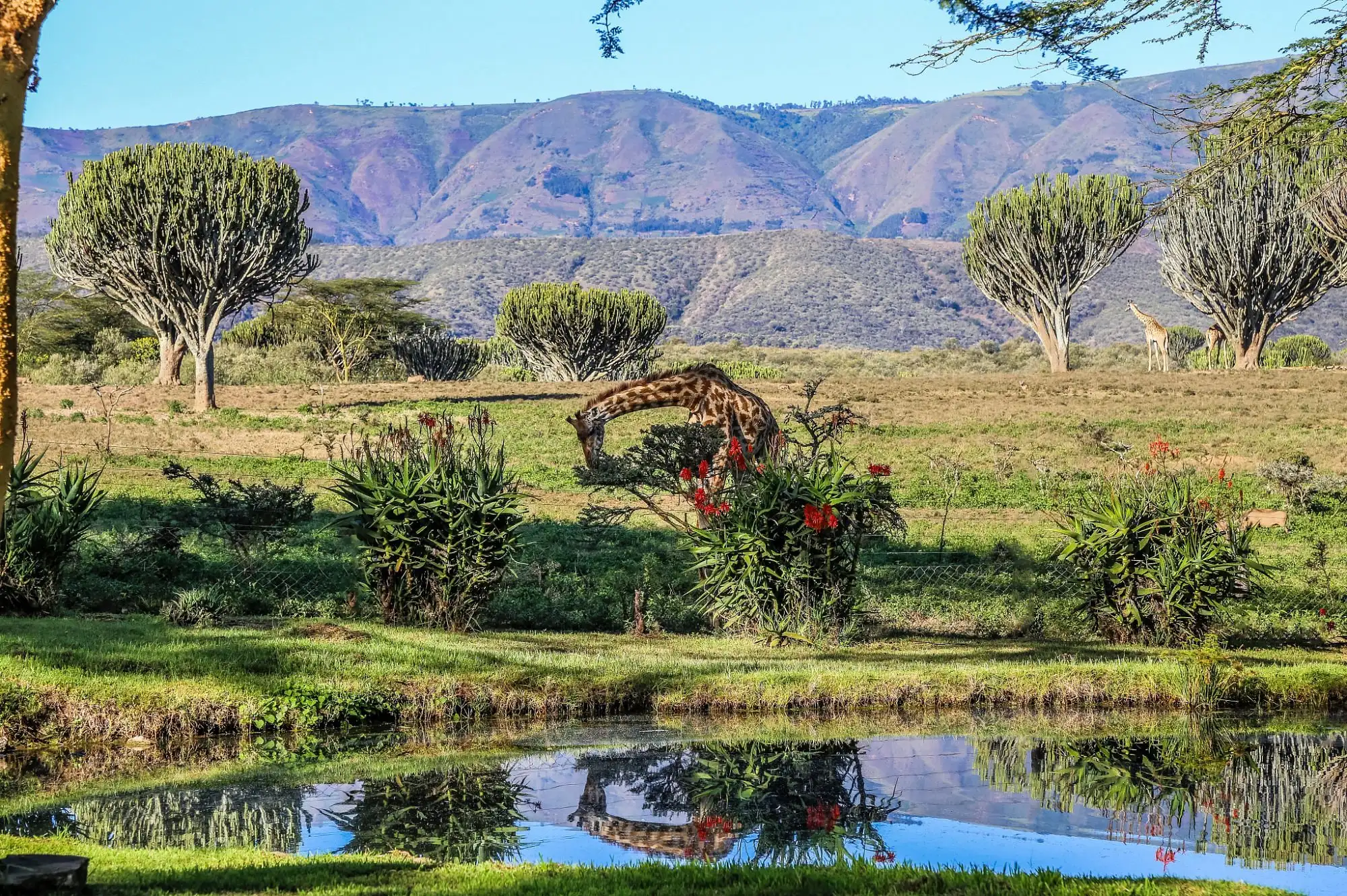 Chui Lodge